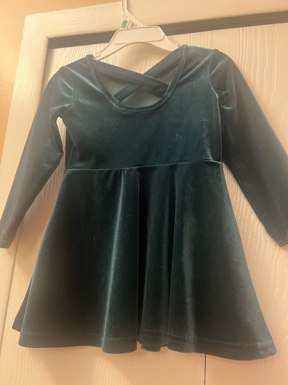 The Children's Place Dark Green Velvet Long-Sleeve Twirl Dress